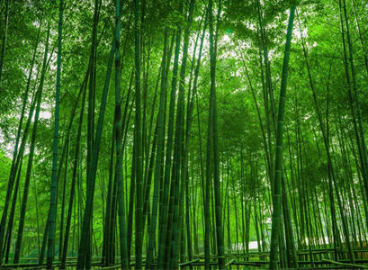 燃燒充分無(wú)異味